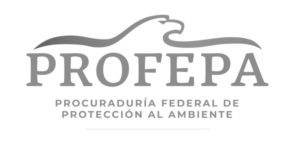 Organismos Morpos